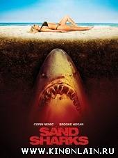 Песчаные акулы - Sand Sharks